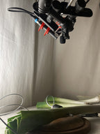 Close-up of a camera setup with greenery on a neutral background