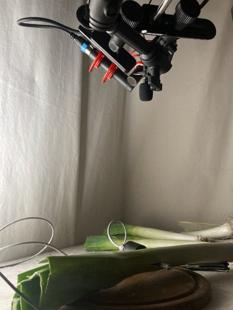 Close-up of a camera setup with greenery on a neutral background