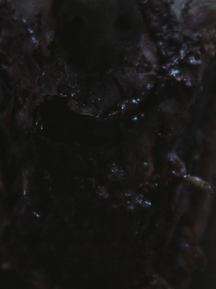 Close-up of dark chocolate with a glossy finish