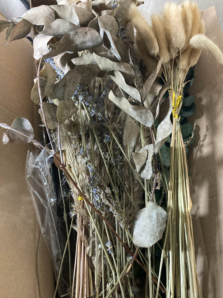 Bouquet of dried flowers and herbs in a clear plastic bag against a neutral background