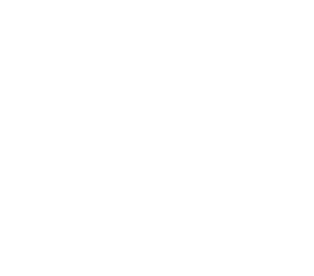 Wwise Logo White